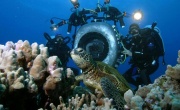 Кадр к фильму Тайны подводного мира 3D