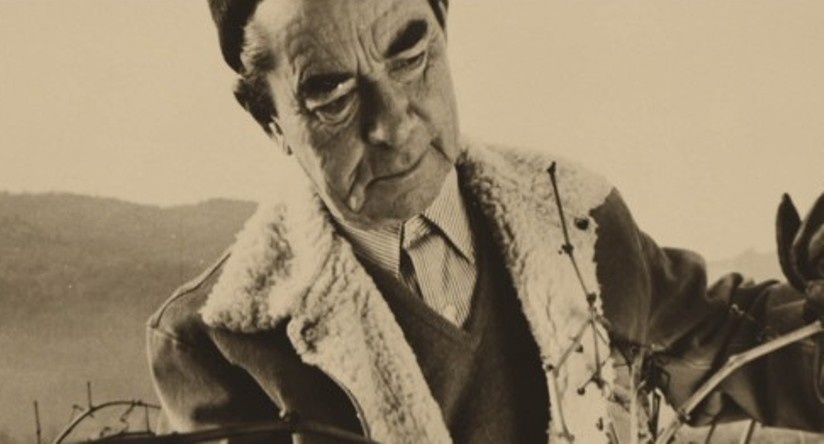 Челищев винодел. Андрей Челищев. Андрей Челищев винодел. Андрей Челищев винодел памятник. Андрей Викторович Челищев.