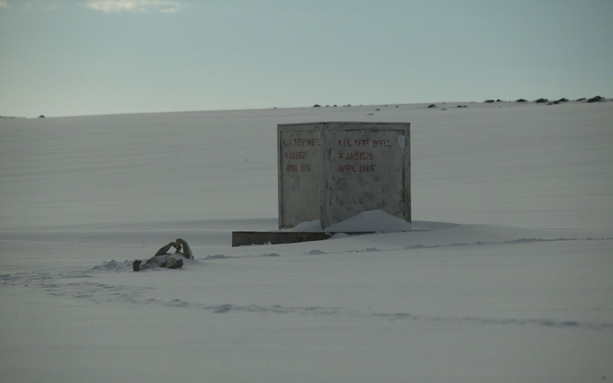 Последняя зима 2006. Последняя зима фильм 2006. The last Winter, США, 2006.