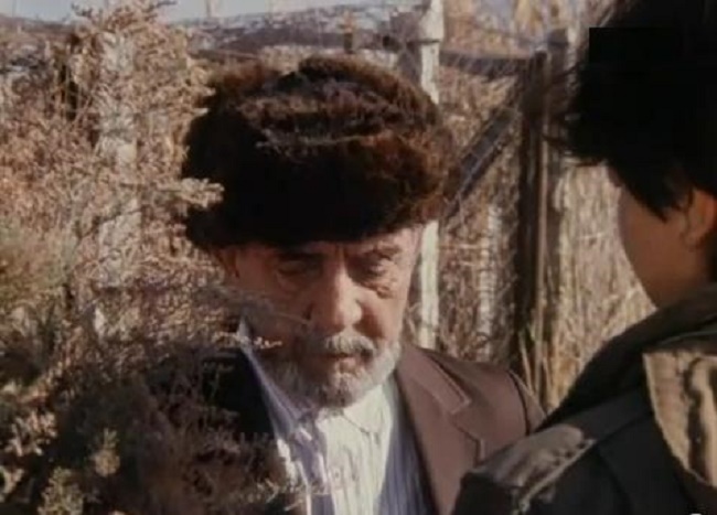 Площадка под автомобиль из щебня. Мульчирование туи щепой. Мульчирование хвойников корой. Вокруг засыпало. Зимние сугробы в деревне.