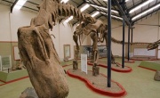Кадр к фильму Динозавры 3D: гиганты Патагонии