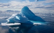 Кадр к фильму Арктика IMAX 3D