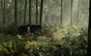 Кадр к фильму Книга джунглей