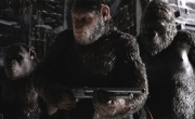 Кадр к фильму Планета обезьян: Война