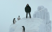 Кадр к фильму Пингвин нашего времени