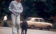 Кадр к фильму Воспитание жестокости у женщин и собак