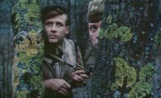 Кадр к фильму В лесах под Ковелем (3-я серия)